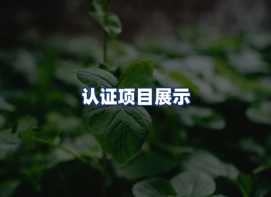 认证项目展示
