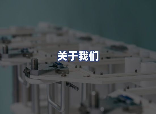 专业团队
